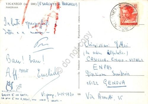 Cartolina Viganego Esarcato di Bargagli panorama 1970