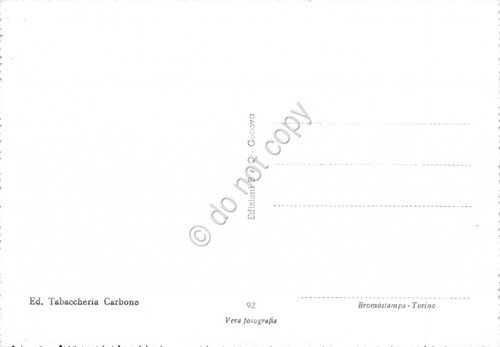 Cartolina Viganego Panorama | Immagine Gallery 2