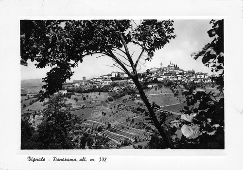 Cartolina Vignale Panorama bordo bianco 1953