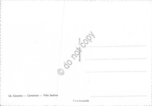 Cartolina Villa Santina Carnia Valle del Tagliamento panorama