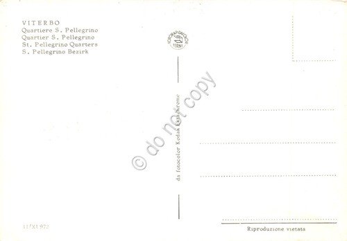 Cartolina Viterbo Quartiere San Pellegrino