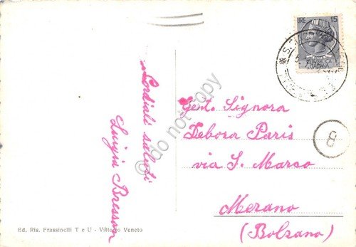 Cartolina Vittorio Veneto Municipio e giardini (Treviso) | Immagine Gallery 2