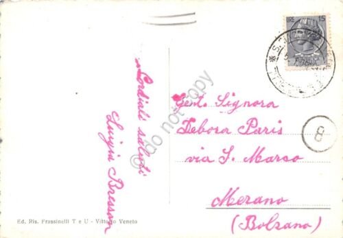 Cartolina Vittorio Veneto Municipio e giardini (Treviso)