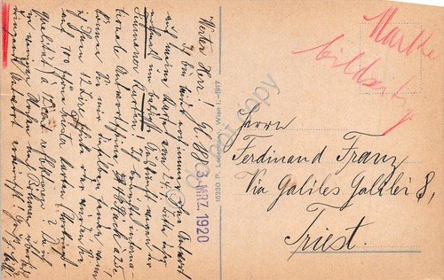 Cartolina Wien Schonbrunn mit Neptungrotte illustata 1920 Stamps 15 e …