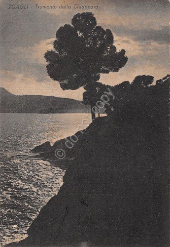 Cartolina Zoagli Tramonto dalla Chiappara 1954 (Genova)