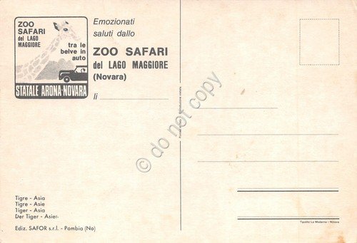Cartolina Zoo Safari Statale Arona Novara Tigre | Immagine Gallery 2