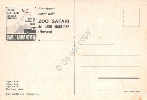 Cartolina Zoo Safari Statale Arona Novara Tigre