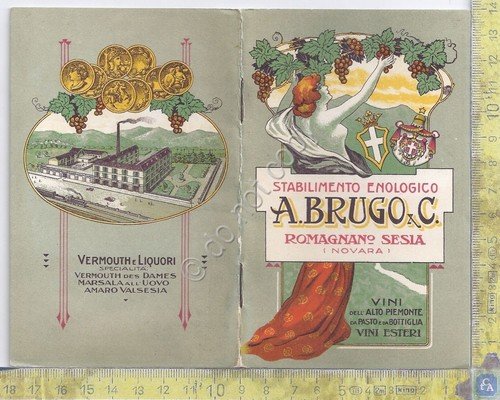 Catalogo - Enologia - Vini - A. Brugo - Romagnano … | Immagine principale