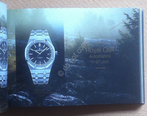 Catalogo orologi - Watch catalog - Audemars Piguet - 2017