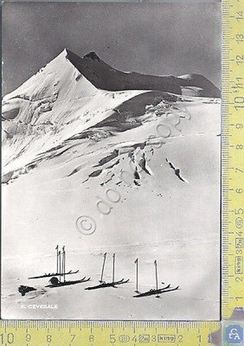 Cevedale-Il Cevedale-Mountain View- 1964 - Cartolina - Postcard