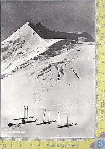 Cevedale-Il Cevedale-Mountain View- 1964 - Cartolina - Postcard | Immagine principale