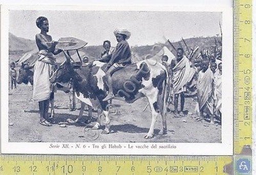 Colonia Eritrea - Tra gli Habab - Serie XII - …