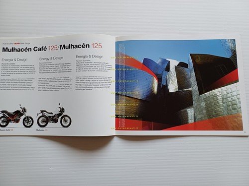 Derbi 125 Terra Mulhacen Cross City Senda 2009 depliant originale