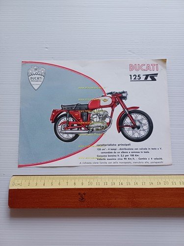 Ducati 125 TS Turismo Speciale depliant italiano originale