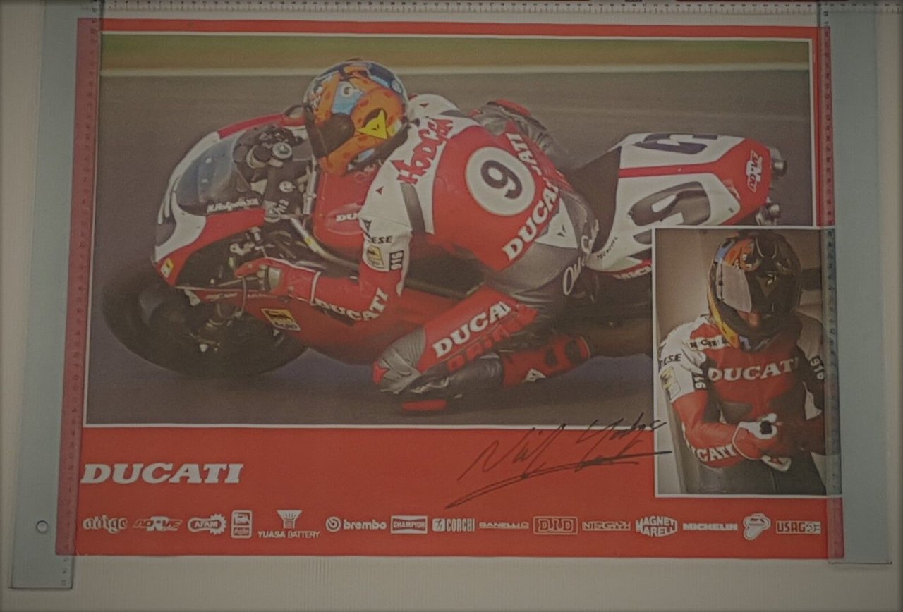 Ducati 916 Superbike 1997 Hogdson manifesto poster originale