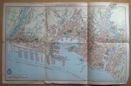 ENIT - Agenzia nazionale italiana del turismo - Pianta di … | Immagine Gallery 2