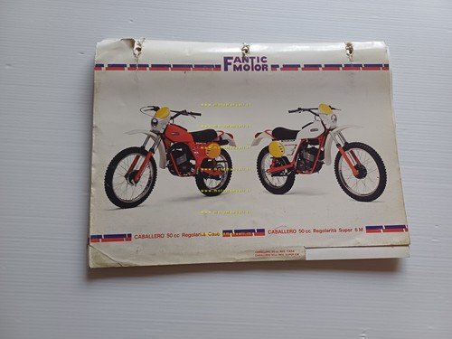 Fantic 50 Caballero Regolarità Casa - Super 6M 1979 catalogo …