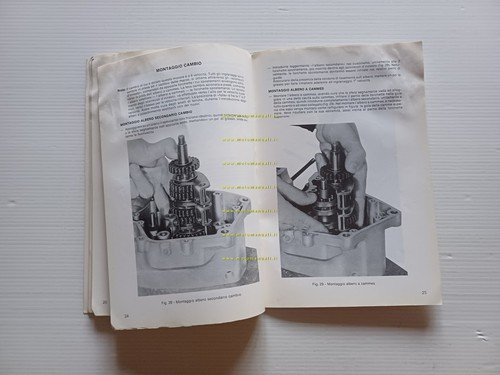 Fantic Motor Caballero manuale officina motore 50 6 V 1977 …