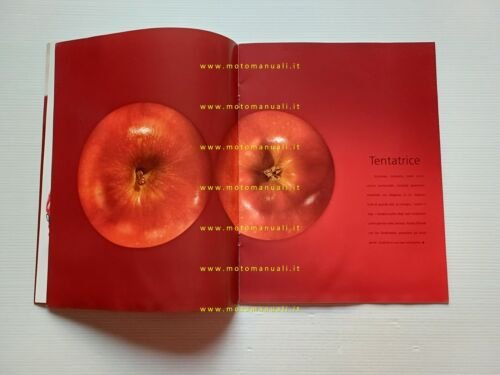FIAT Barchetta 2003 depliant italiano originale