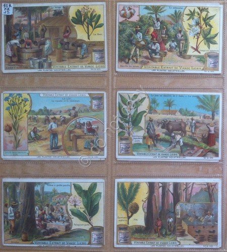 Figurine Liebig - Francia - Sang. 707 - Piante industriali …