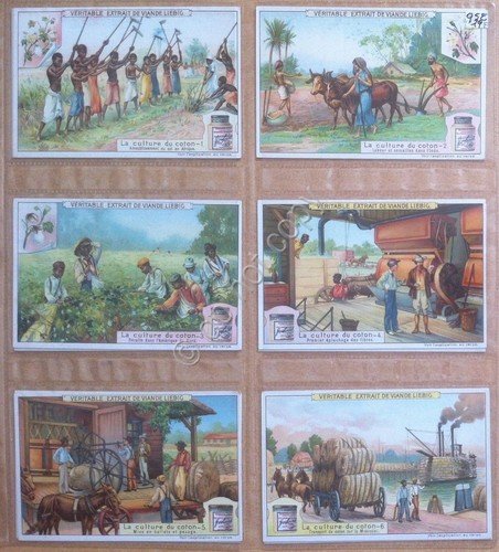 Figurine Liebig - Francia - Sang. 952 - La coltivazione … | Immagine principale