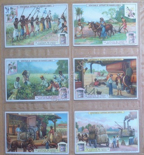 Figurine Liebig - Francia - Sang. 952 - La culture … | Immagine principale