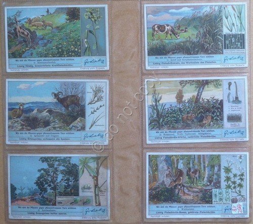 Figurine Liebig - Germania - Sang. 1352 - Difese delle …