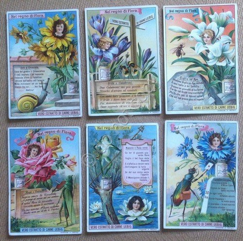 Figurine Liebig - Italia - S 1020 - Nel regno … | Immagine principale