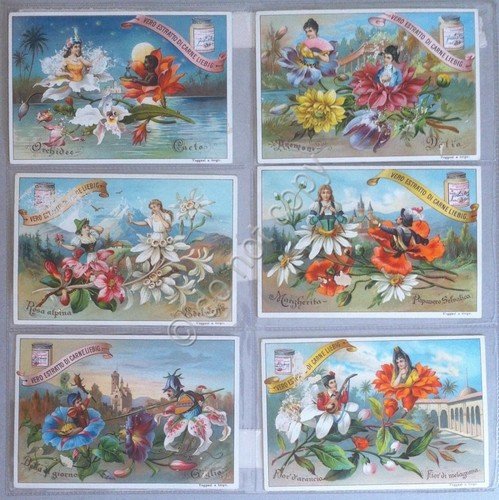 Figurine Liebig - Italia - S 520 - Fiori con … | Immagine principale