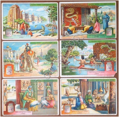 Figurine Liebig - Italia - Sang. 1134 - Animali sacri … | Immagine principale