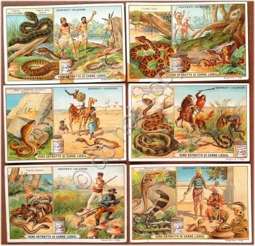 Figurine Liebig - Italia - Sang. 748 - Serpenti velenosi … | Immagine principale
