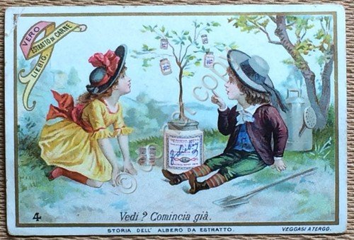 Figurine Liebig ITA - S.368 - Storia dell'albero da Estratto … | Immagine principale