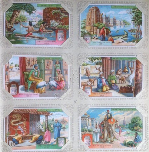 Figurine Liebig Italia Sang. 1134 - Animali Sarci