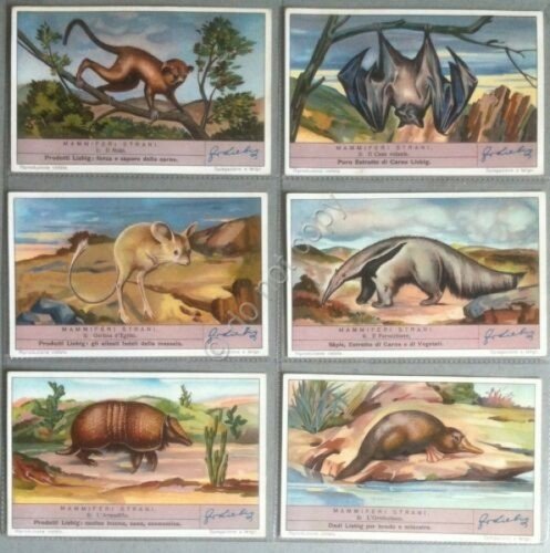 Figurine Liebig Italia Sang. 1359 - Mammiferi strani - 1937