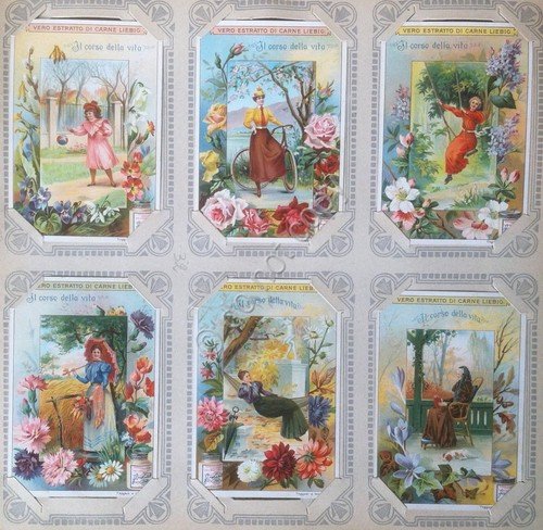 Figurine Liebig Italia Sang. 689 - Il Corso della Vita … | Immagine principale