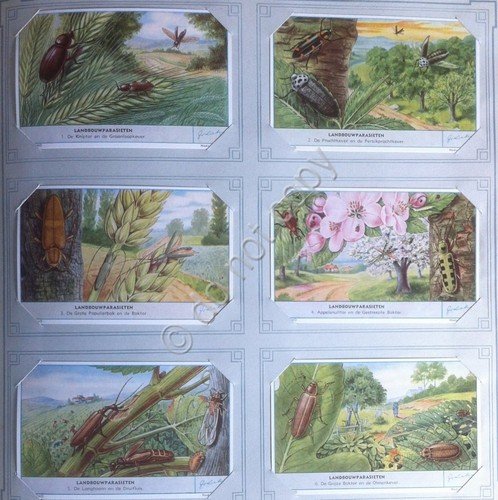 Figurine Liebig Olanda - S 1689 - Landbouwparasieten - I …