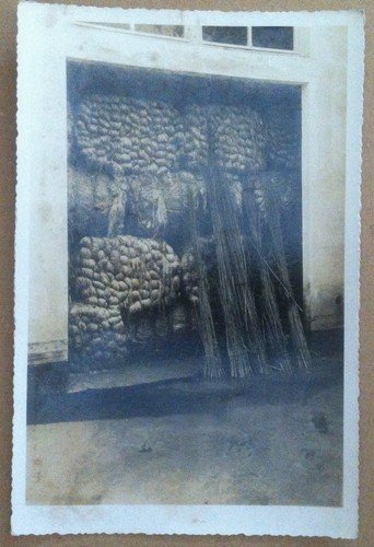 Fotografia - Italia 1942 - Canapificio Sancassani - Allagamento - … | Immagine principale