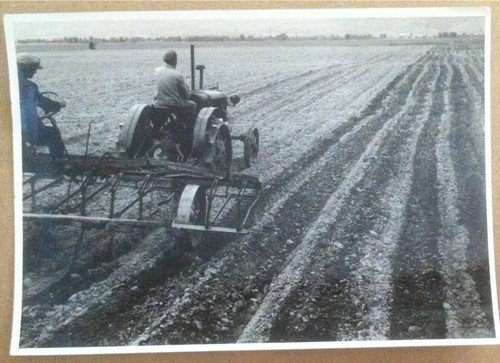 Fotografia - Italia anni '50 - Aratura - Trattore - … | Immagine principale