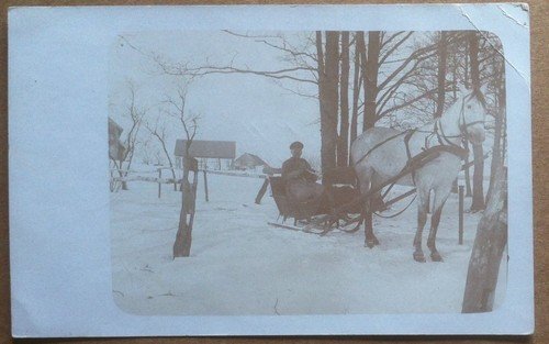 Fotografia d'epoca - Germania 1917 - Militare su slitta trainata … | Immagine principale