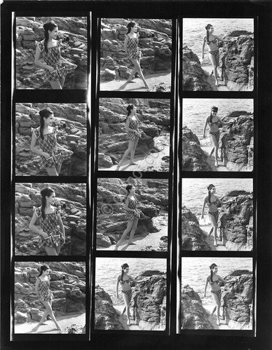 Fotografia Moda anni '60 Costume Cole of California Provini contact … | Immagine principale