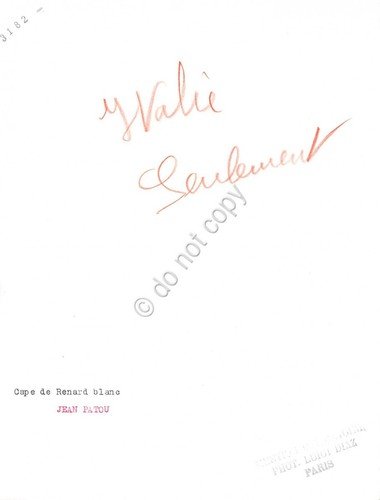 Fotografia Moda Foto Diaz Parigi Volpe Bianca di J.Patou '60s … | Immagine Gallery 2