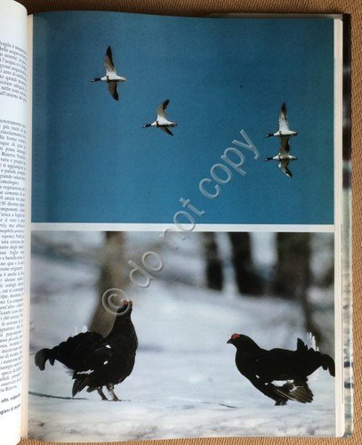 Franco Tassi - Parchi Naturali Nel Mondo - Istituto Geografico … | Immagine Gallery 2