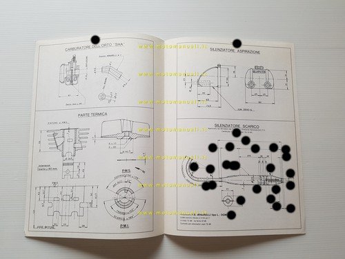 GABBIANO 50 Line 4 Special 1980 scheda omologazione DGM Facsimile …