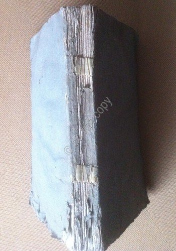 Gagliardo - Vocabolario Agronomico Italiano - 1^ Edizione - Milano …