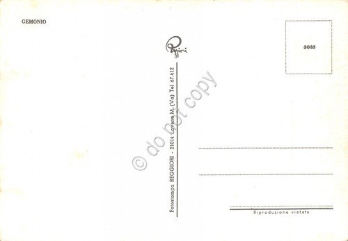 Gemonio panorama strada paese