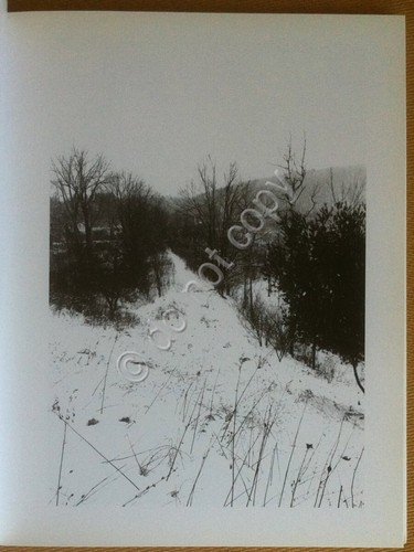 Gerard Malanga - Ghostly Berms - Inarco Books 2012 - …
