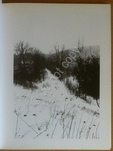 Gerard Malanga - Ghostly Berms - Inarco Books 2012 - …