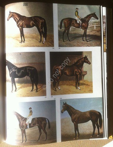 Gianoli - Il Cavallo e l'Uomo - Longanesi 1967 - … | Immagine Gallery 2