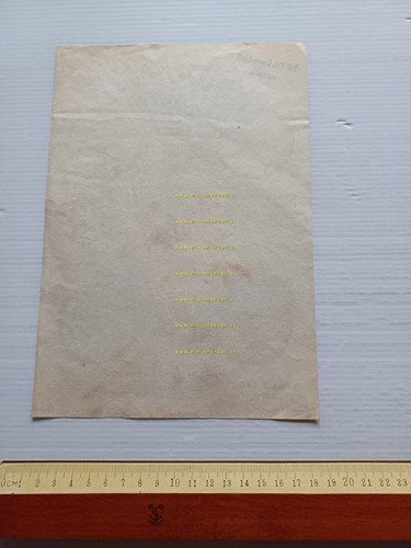 Gitan Grillo 50 Sport - Grillo 50 Turismo depliant italiano …