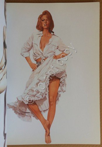 Hajime Sorayama - Glamour Pin-Up, Illustrazioni, Robots ecc. - 1991 | Immagine Gallery 2